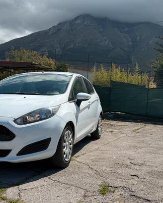 Ford Fiesta Business