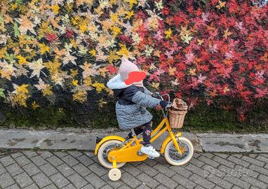 Bicicletta bambina misura 12 - 3 anni
