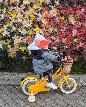 Bicicletta bambina misura 12 - 3 anni