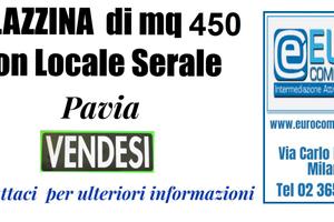 115/23 A Pavia PALAZZINA INDIPENDENTE di mq 450