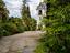 Immagine 14