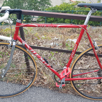Bici corsa olmo