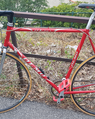 Bici corsa olmo