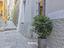 Immagine 26