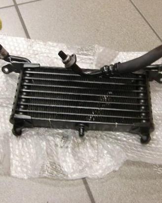 Radiatore olio inferiore originale BMW S 1000 RR