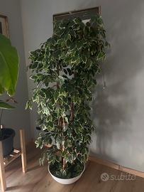 Pianta artificiale da 1.80