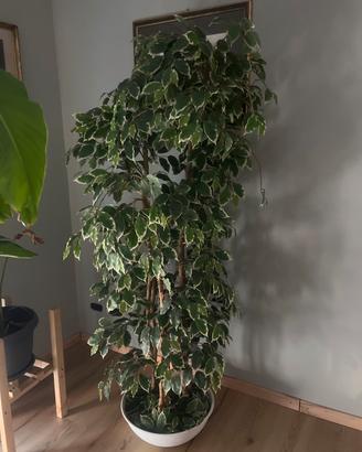 Pianta artificiale da 1.80