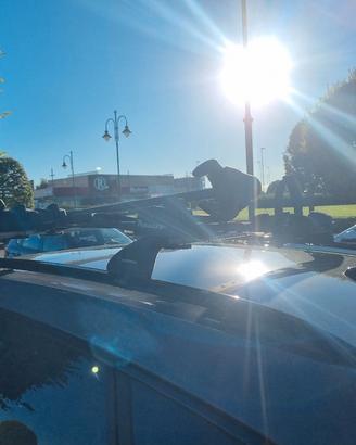 Barre portatutto universali