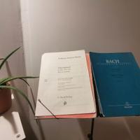 flauto traverso lezioni