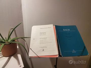 flauto traverso lezioni