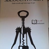 Sblocca Italia. Dalle trivelle agli stoccaggi di g