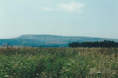 Terreno agricolo di 16 ettari circa