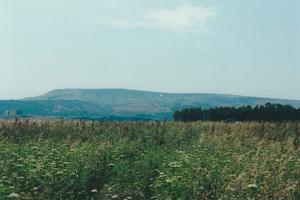 Terreno agricolo di 16 ettari circa