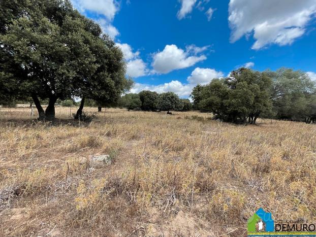 Terreno di 6 ha Aratena 15 minuti da Olbia