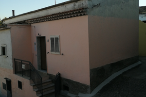 Appartamento immobili