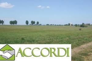 Rif.AT45A_7| terreno agricolo volpago del montell