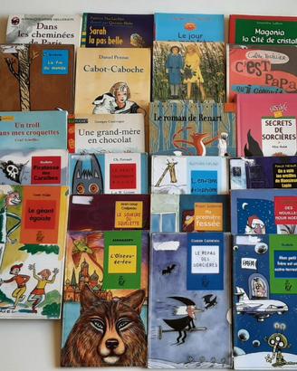 Grande lotto: 70+ libri in FRANCESE per bambini