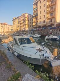 giglio 21