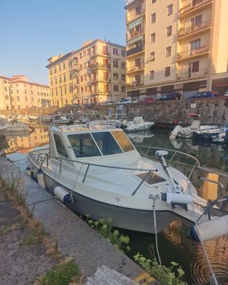 giglio 21