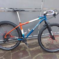 Mtb Ritchey ultra 29 pollici