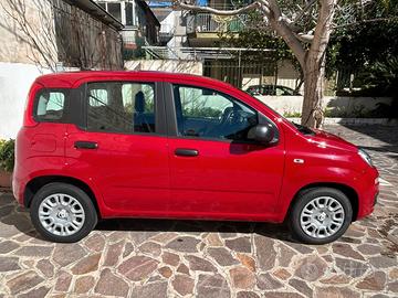 Fiat Pandina 1.0 FireFly S&S Hybrid KM Zero 