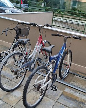biciclette  donna e mtb 