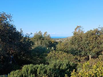 Accogliente mansarda in posto tranquillo