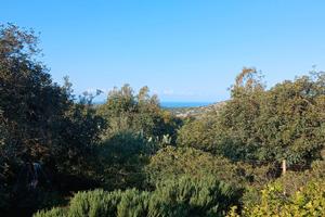 Accogliente mansarda in posto tranquillo