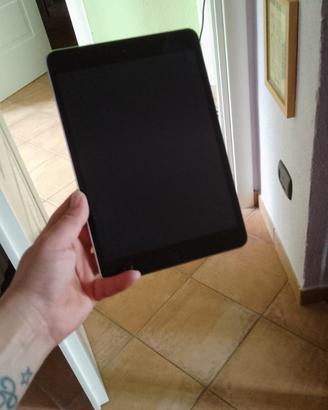 iPad mini 2
