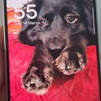 samsung A 56 5G
