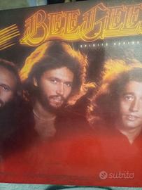 Disco in vinile BEE GEES
