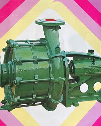 pompa centrifuga caprari