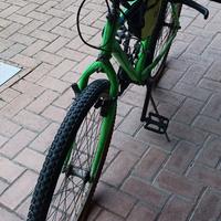 bicicletta Mountain bike uomo colore verde