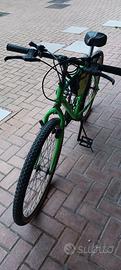 bicicletta Mountain bike uomo colore verde