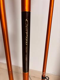 Canna surf casting Daiwa