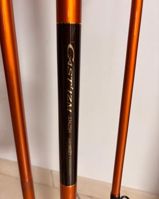 Canna surf casting Daiwa