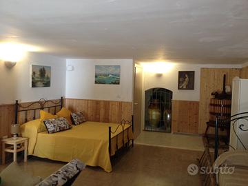 Appartamento bilocale trasfertista singolo