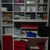 Libreria/Scrivania per Studio