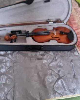 Violino con custodia 