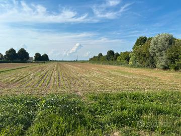 Terreno edificabile 800 metri + 2000 metri agricol