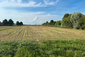 Terreno edificabile 800 metri + 2000 metri agricol