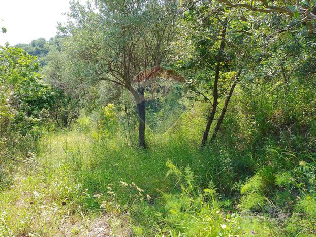 Terreno - Castiglione di Sicilia