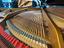 Immagine 11