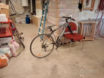 willier ,solo telaio 