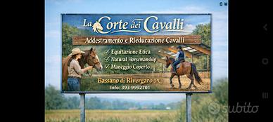Addestramento rieducazione cavalli