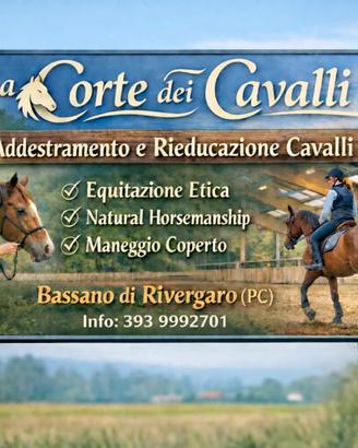 Addestramento rieducazione cavalli