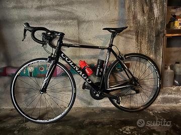 Colnago