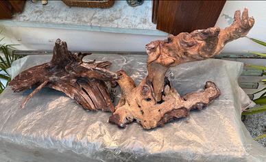 Set 3 radici mangrovia per Acquario