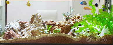 Acquario 230 litri (110 cm)