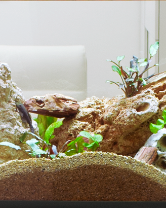 Acquario 230 litri (110 cm)